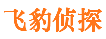 隆德市侦探公司